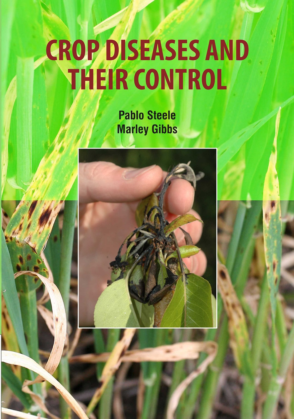 Crop Diseases and Their Control